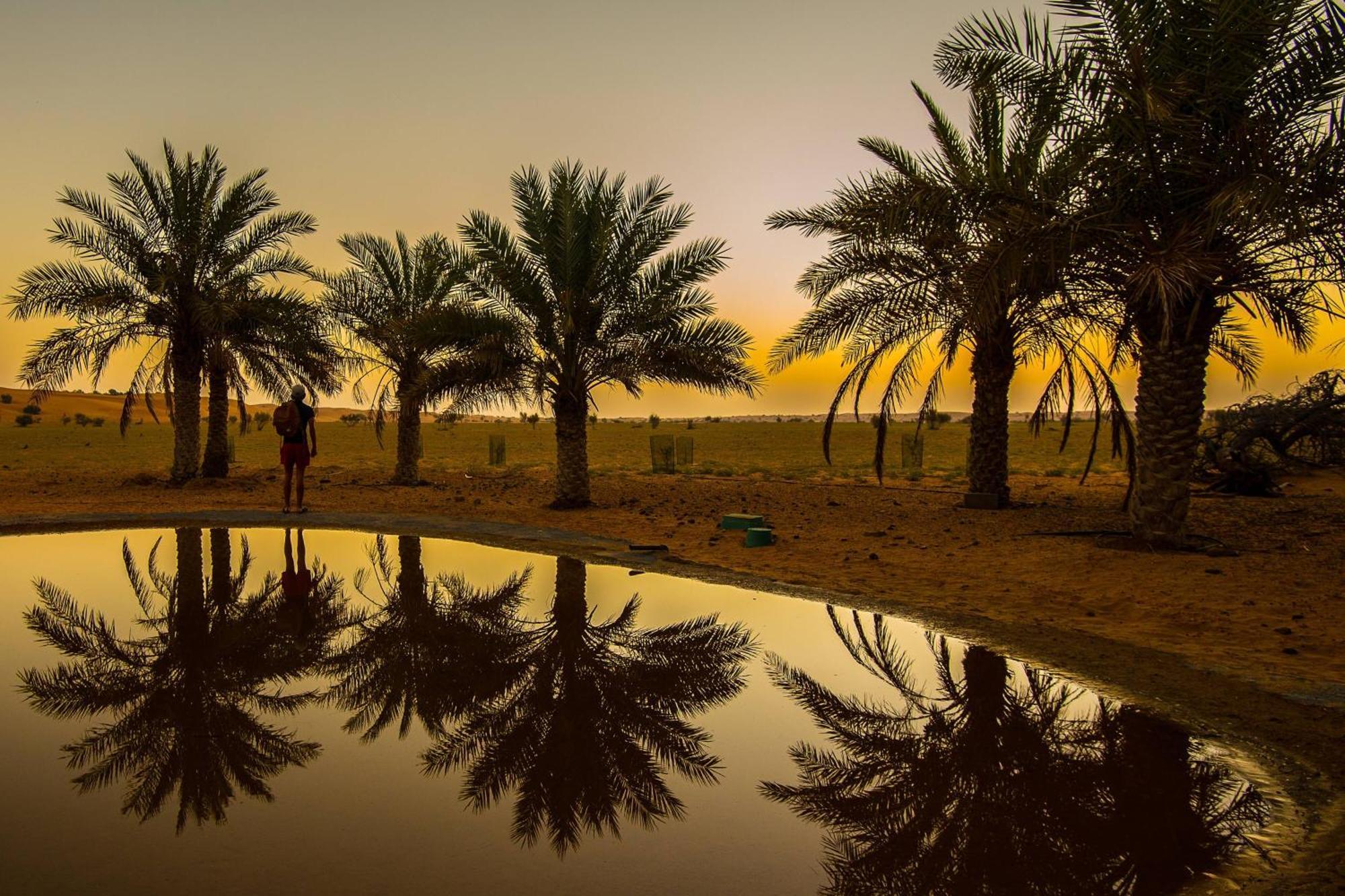Al Maha, A Luxury Collection Desert Resort & Spa, Dubai (Adults Only) Murqab Extérieur photo